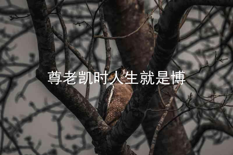 尊老凯时人生就是博