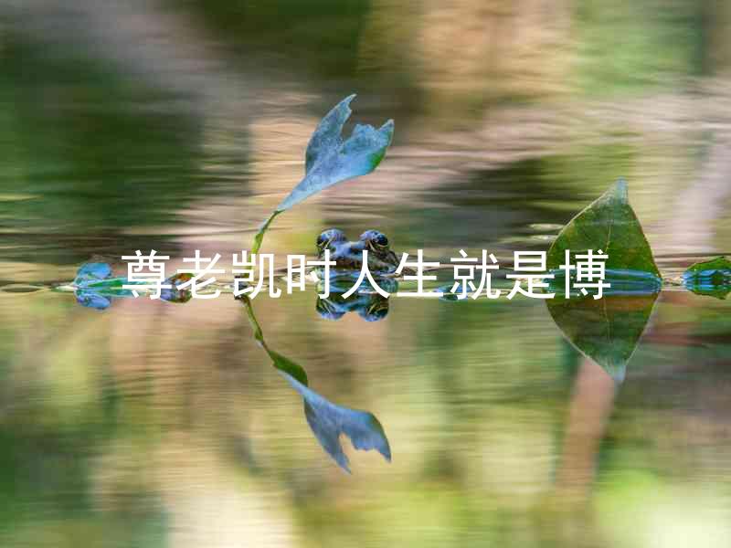 尊老凯时人生就是博