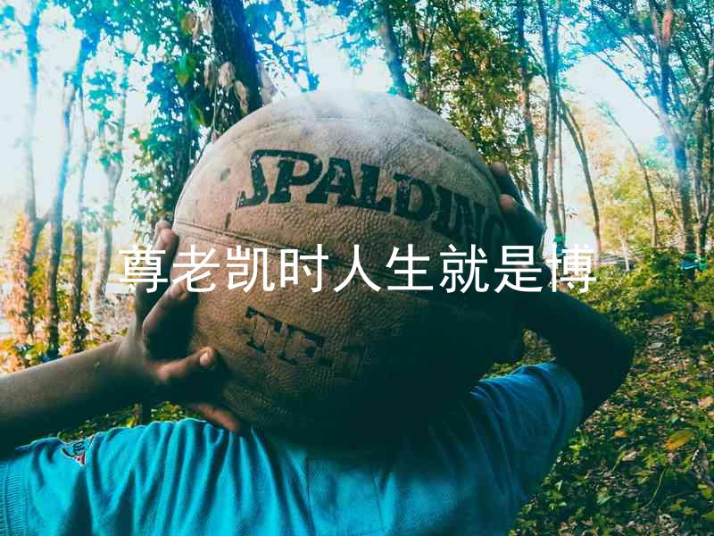尊老凯时人生就是博
